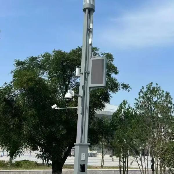 异型管路灯灯杆应用实例