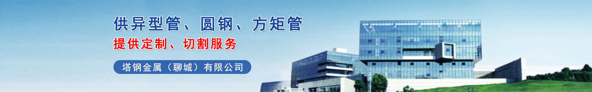 塔钢金属（聊城）有限公司